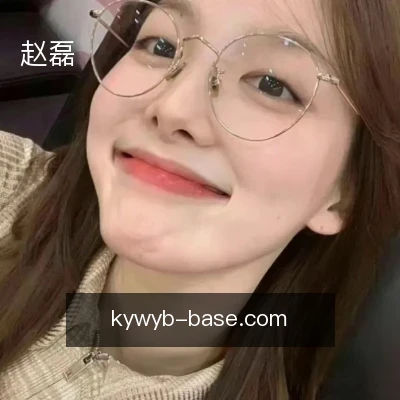 赵磊